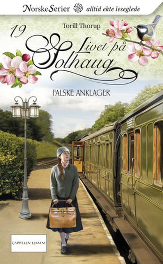 Falske anklager (ebok) av Torill Thorup