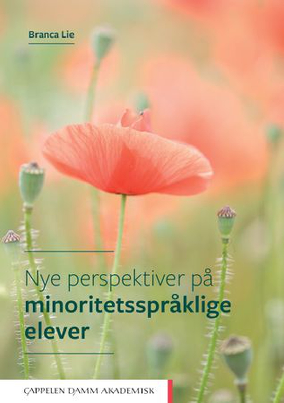 Nye perspektiver på minoritetsspråklige elever - en pedagogisk-psykologisk tilnærming (ebok) av Branca Lie
