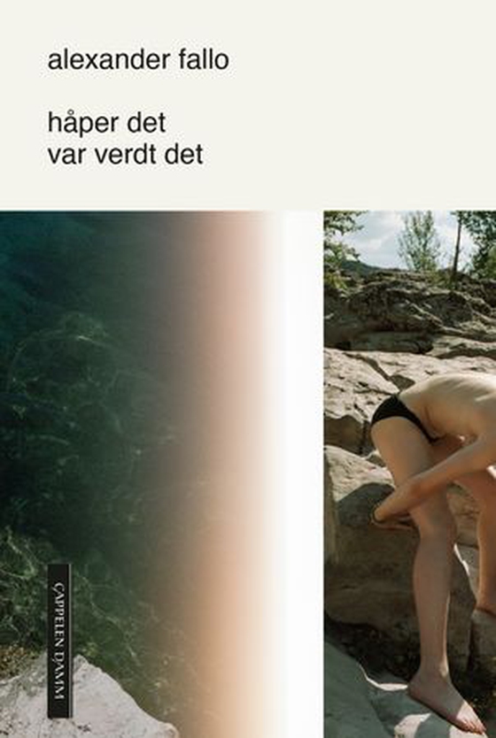 Håper det var verdt det (ebok) av Alexander Fallo