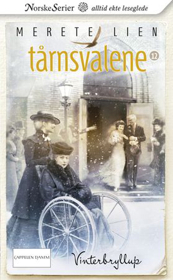 Vinterbryllup (ebok) av Merete Lien