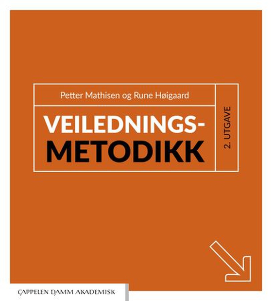 Veiledningsmetodikk