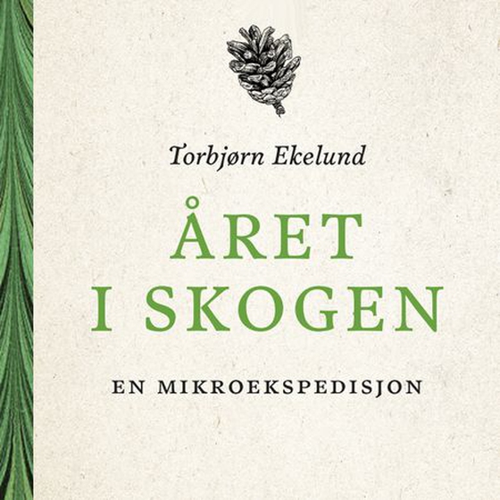 Året i skogen