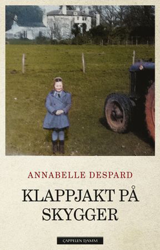 Klappjakt på skygger