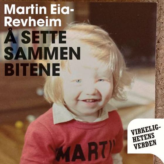 Å sette sammen bitene
