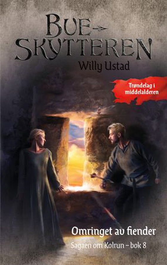 Omringet av fiender (ebok) av Willy Ustad