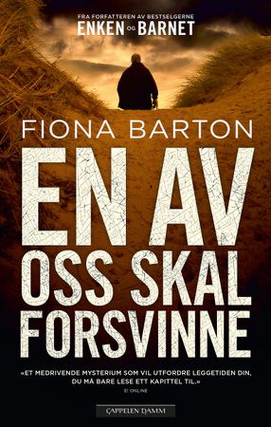 En av oss skal forsvinne (ebok) av Fiona Barton