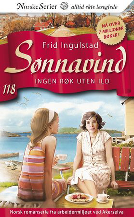 Ingen røk uten ild (ebok) av Frid Ingulstad