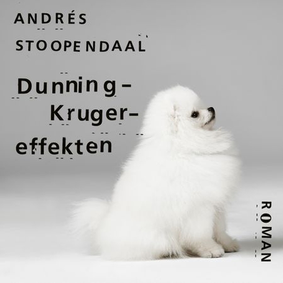 Dunning-Kruger-effekten