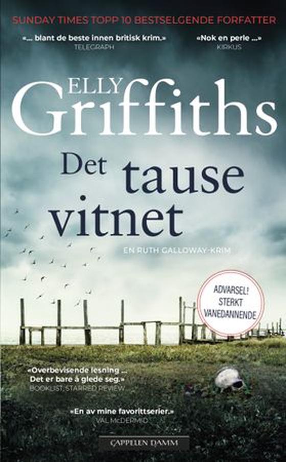 Det tause vitnet (ebok) av Elly Griffiths