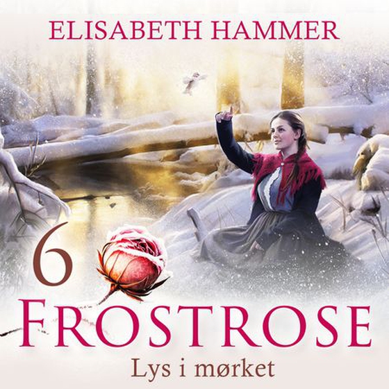 Lys i mørket (lydbok) av Elisabeth Hammer