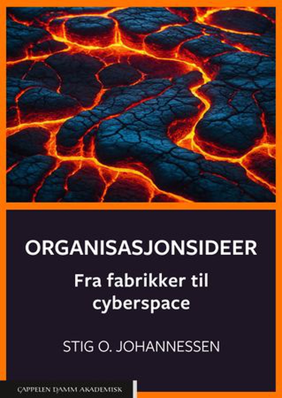Organisasjonsideer