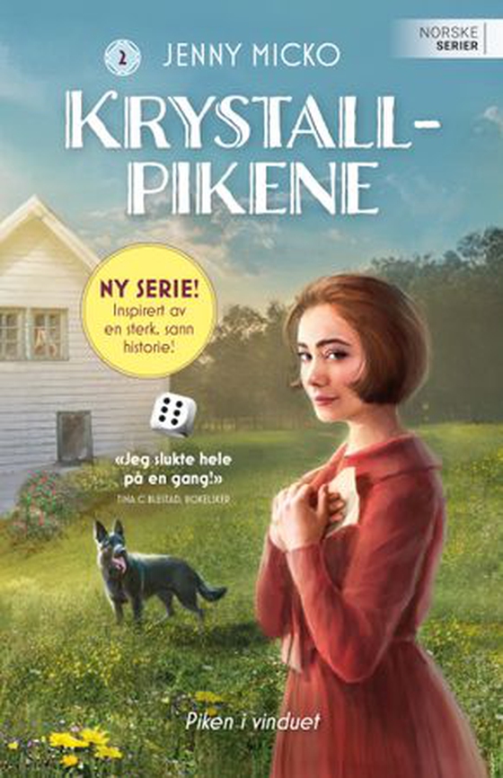 Piken i vinduet (ebok) av Jenny Micko