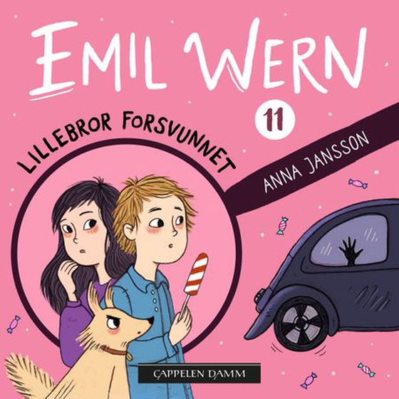 Lillebror forsvunnet (lydbok) av Anna Jansson