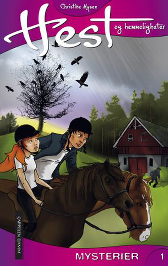 Mysterier (ebok) av Christine Mysen