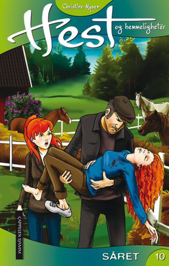 Såret (ebok) av Christine Mysen