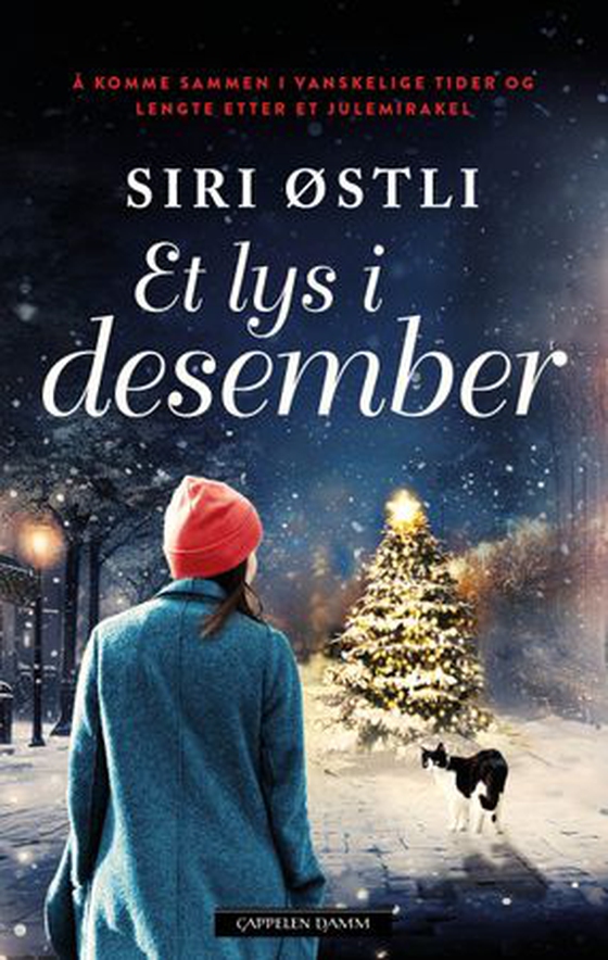 Et lys i desember (ebok) av Siri Østli