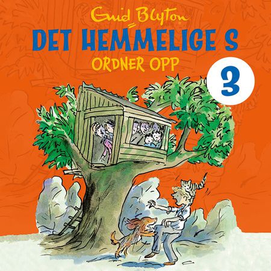 Det hemmelige S ordner opp