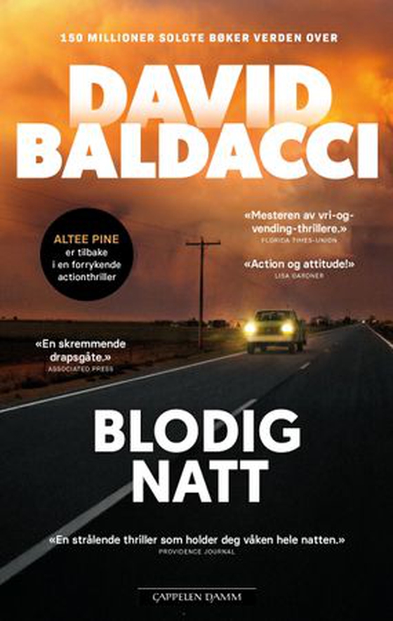 Blodig natt (ebok) av David Baldacci