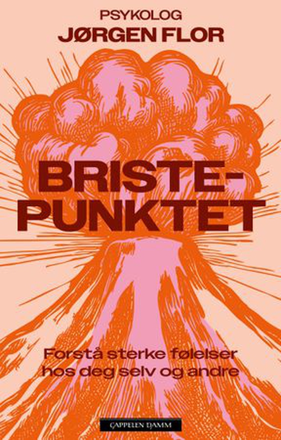 Bristepunktet - forstå sterke følelser hos deg selv og andre (ebok) av Jørgen Akre Flor