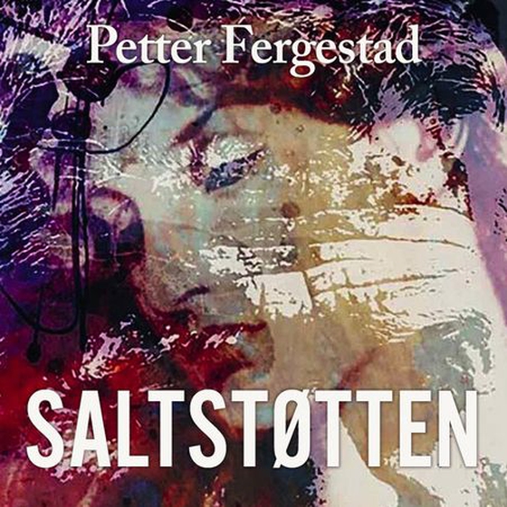 Saltstøtten (lydbok) av Petter Fergestad
