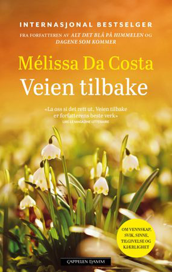 Veien tilbake (ebok) av Mélissa Da Costa