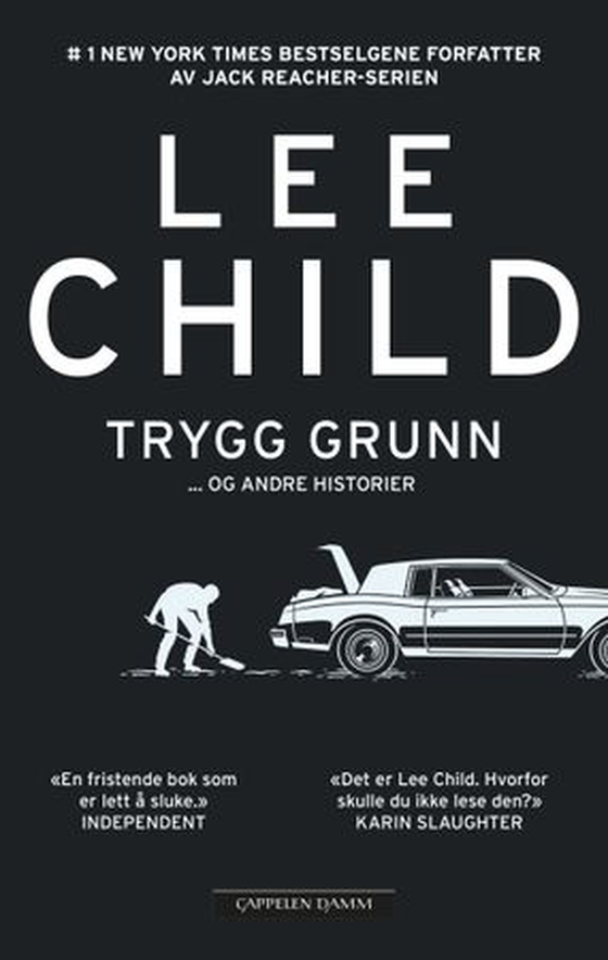 Trygg grunn
