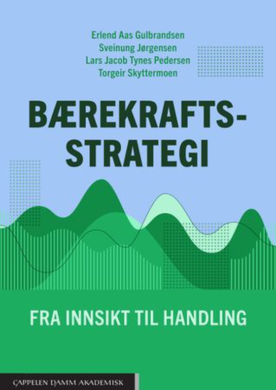 Bærekraftsstrategi