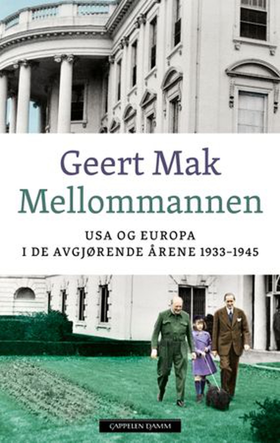 Mellommannen - USA og Europa i de avgjørende årene 1933-1945 (ebok) av Geert Mak