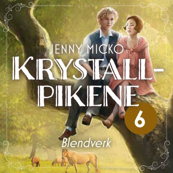 Blendverk (lydbok) av Jenny Micko