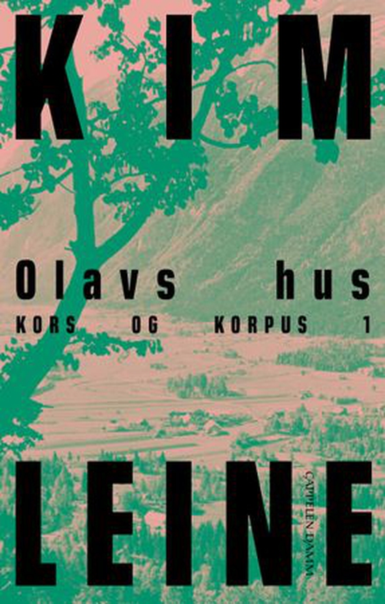Olavs hus