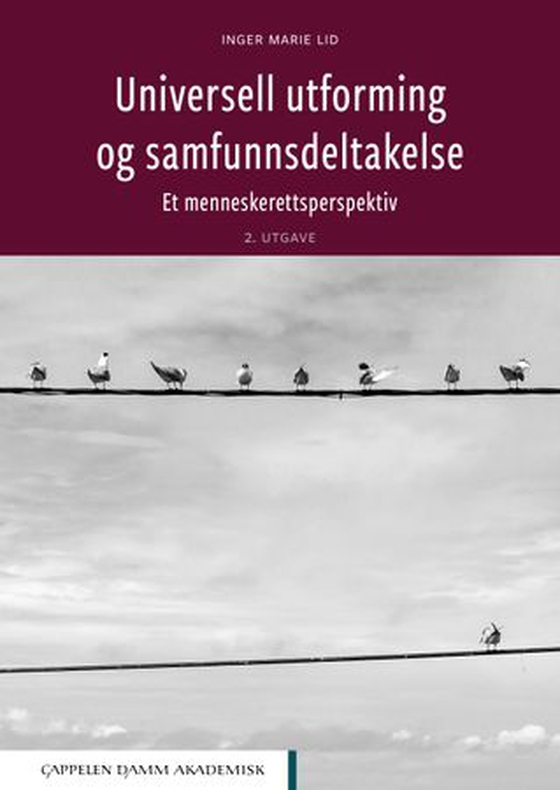 Universell utforming og samfunnsdeltakelse