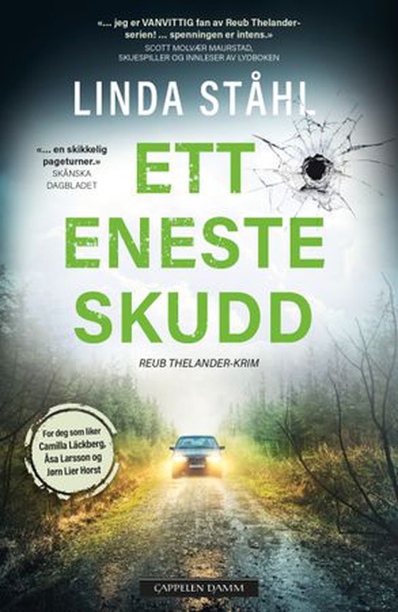 Ett eneste skudd