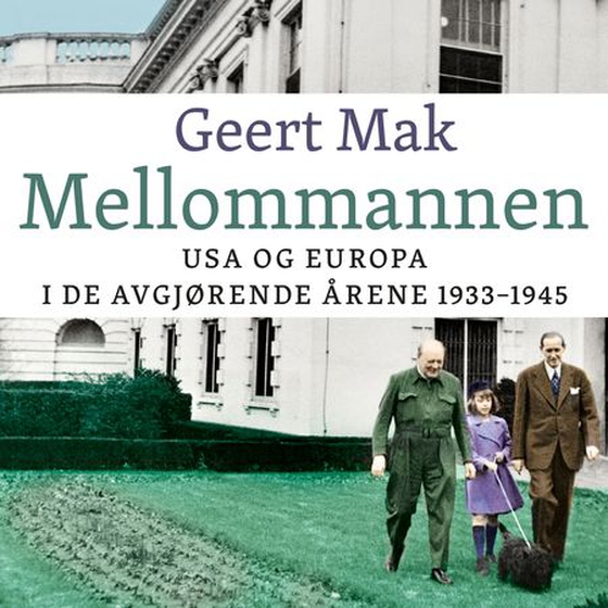 Mellommannen - USA og Europa i de avgjørende årene 1933-1945