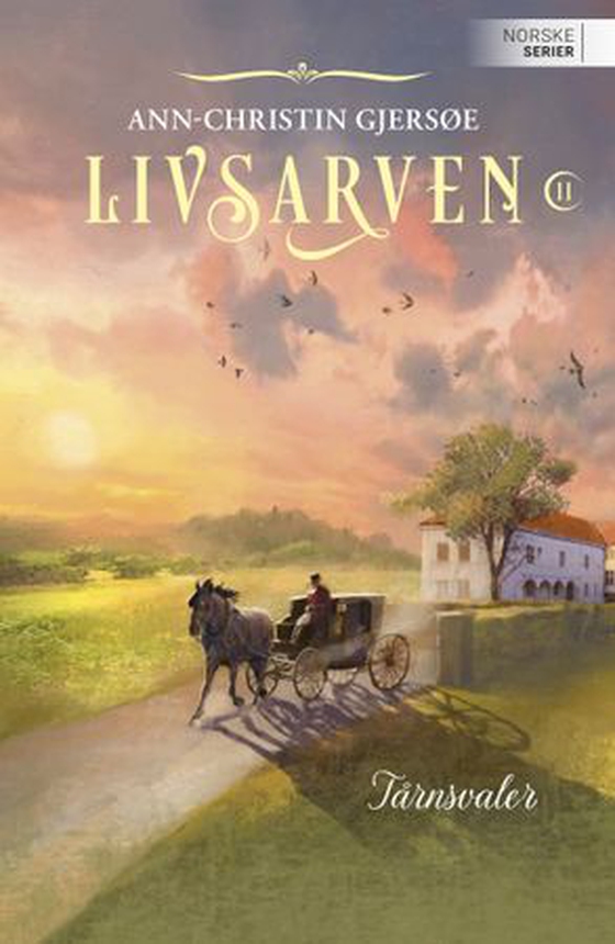 Tårnsvaler (ebok) av Ann-Christin Gjersøe