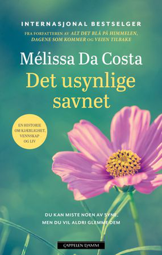 Det usynlige savnet