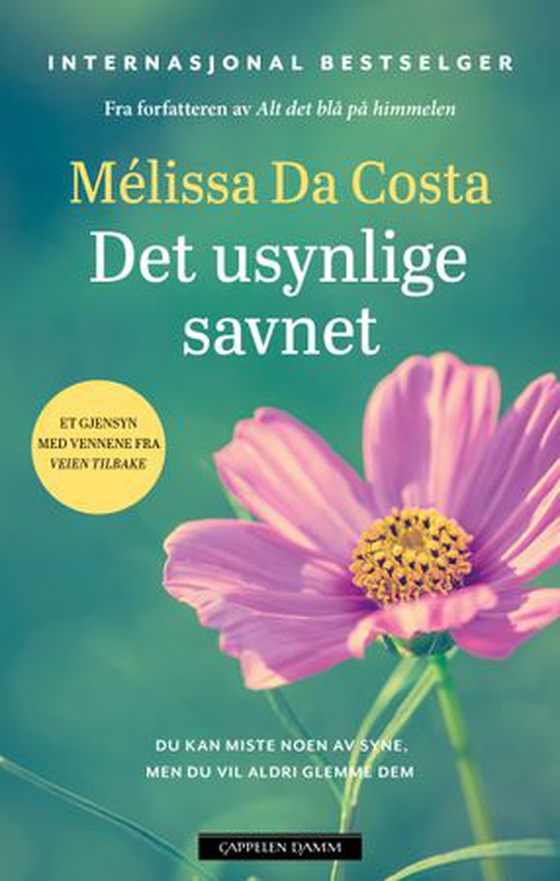 Det usynlige savnet (ebok) av Mélissa Da Costa