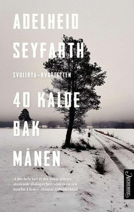 40 kalde bak månen (ebok) av Adelheid Seyfarth