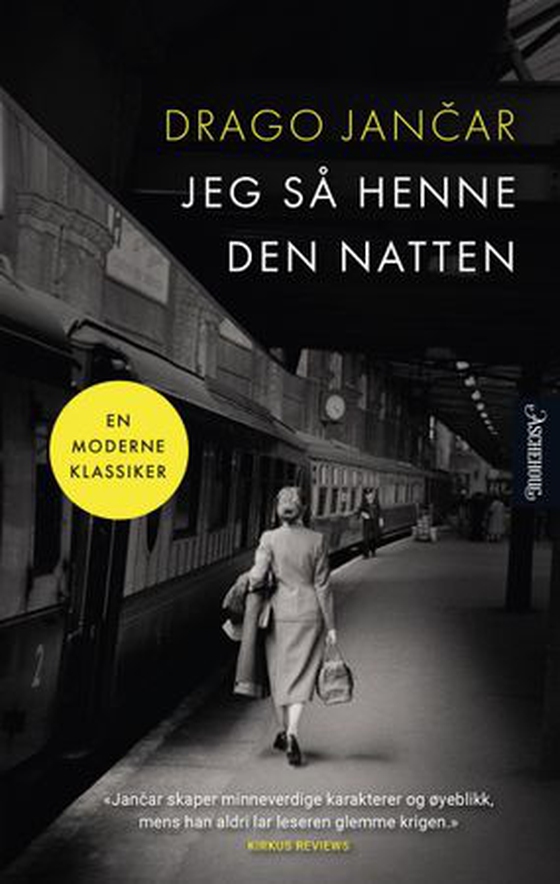 Jeg så henne den natten (ebok) av Drago Jančar