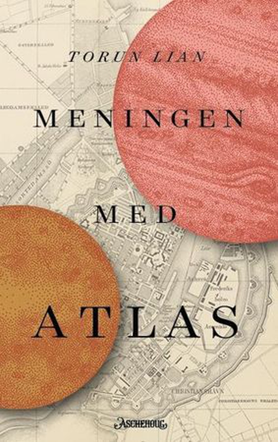 Meningen med Atlas (ebok) av Torun Lian