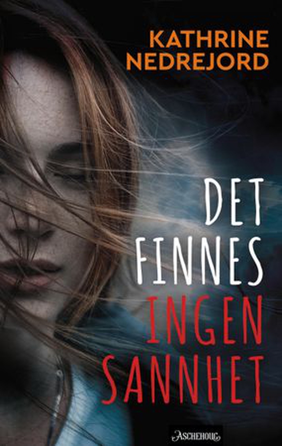Det finnes ingen sannhet (ebok) av Kathrine Nedrejord