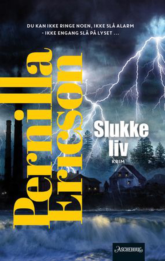 Slukke liv (ebok) av Pernilla Ericson