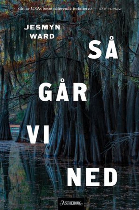 Så går vi ned - roman (ebok) av Jesmyn Ward