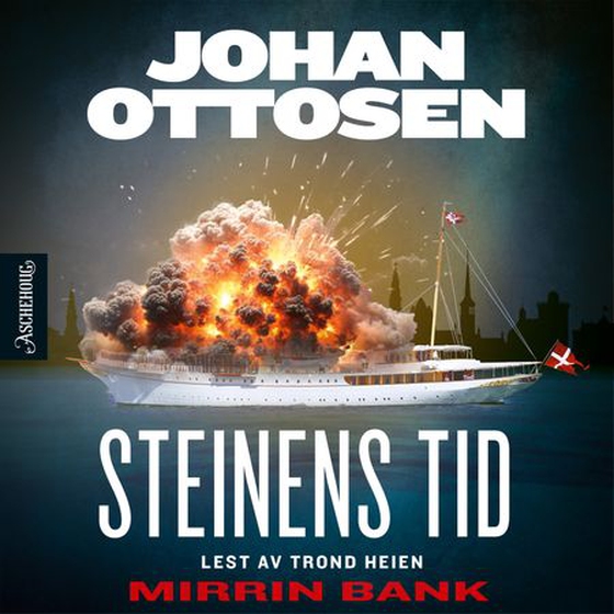 Steinens tid (lydbok) av Johan Ottosen