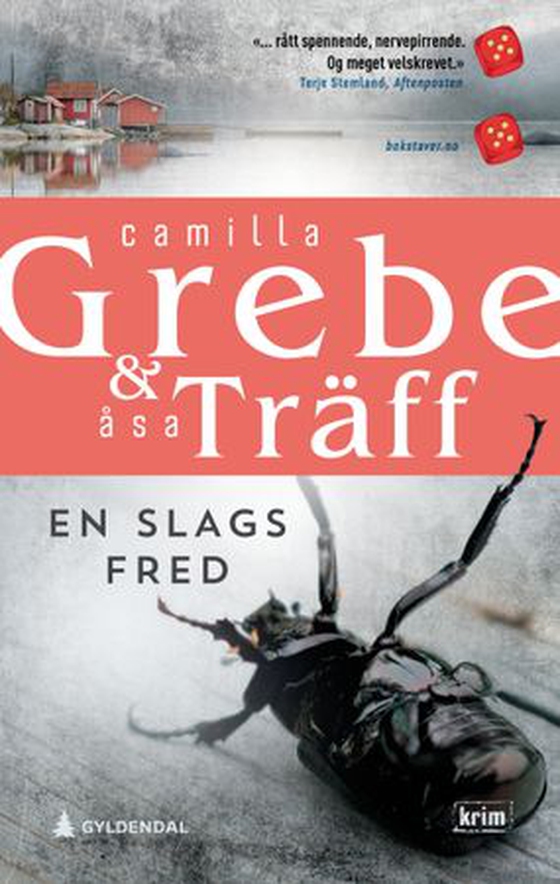 En slags fred (ebok) av Camilla Grebe