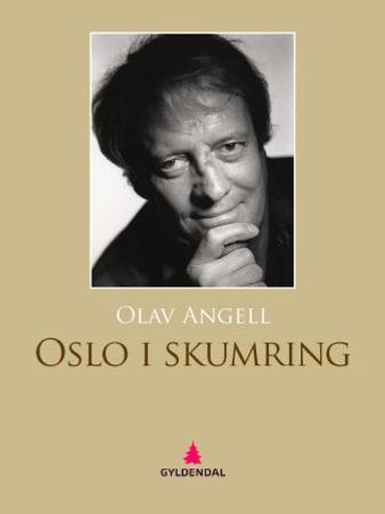 Oslo i skumring