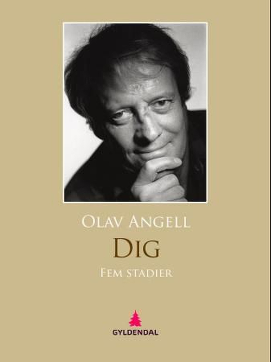 Dig