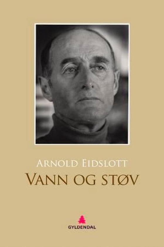 Vann og støv