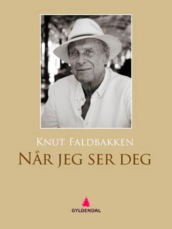 Når jeg ser deg