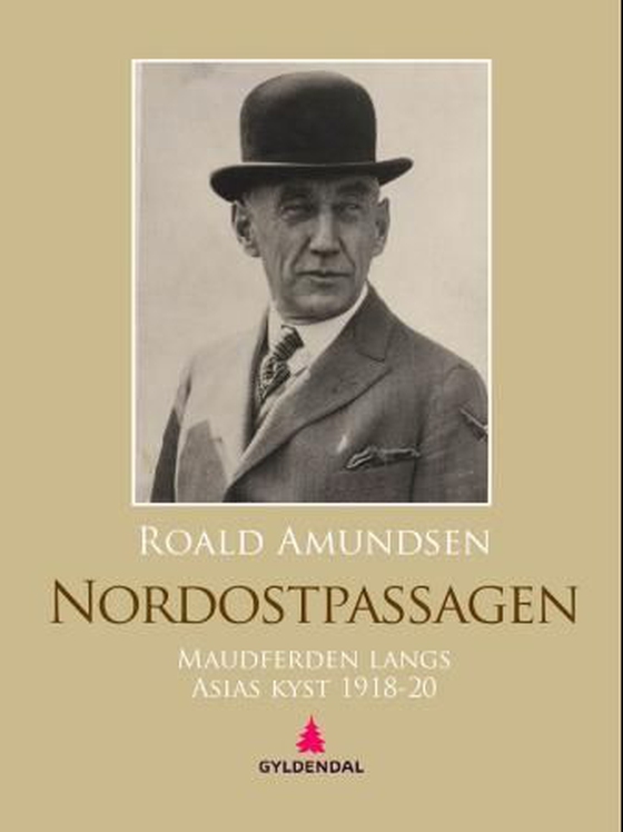 Nordostpassagen - Maudferden langs Asias kyst 1918-20, H. U. Sverdrups ophold blandt tsjuktsjerne, Godfred Hansens depotekspedition 1919-1920 (ebok) av Roald Amundsen