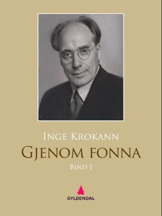 Gjenom fonna I